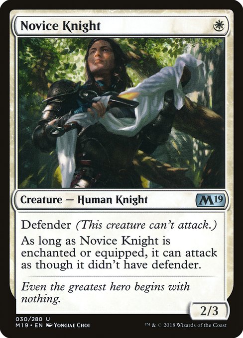 Novice Knight - Core Set 2019 #30