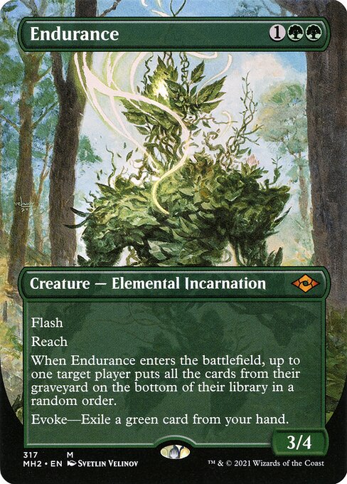 Endurance (Borderless) - Modern Horizons 2 #317