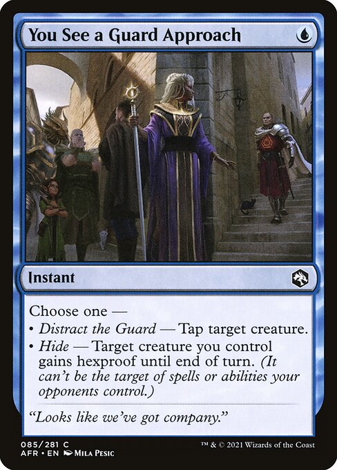 You See a Guard Approach - Adventures in the Forgotten Realms #85
