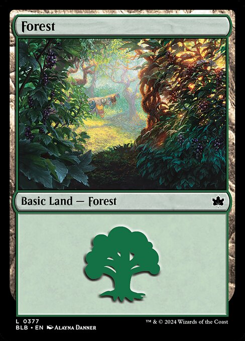 Forest (0377) - Bloomburrow #377