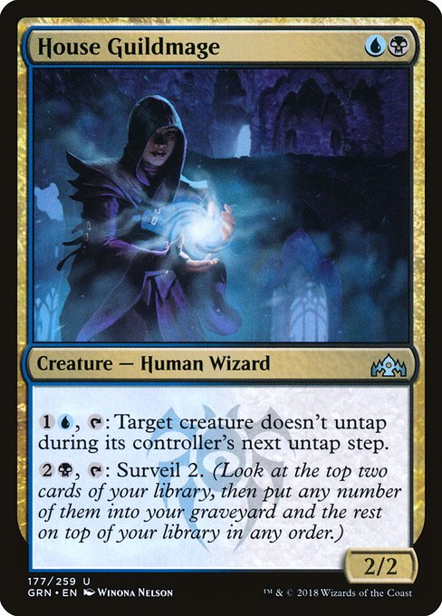 House Guildmage - Guilds of Ravnica #177