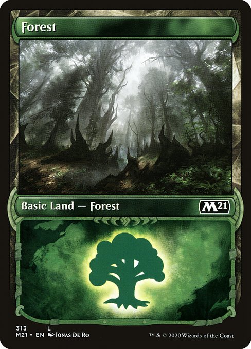 Forest (Showcase) - Core Set 2021 #313