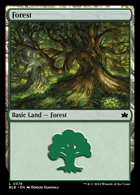 Forest (0378) - Bloomburrow #378