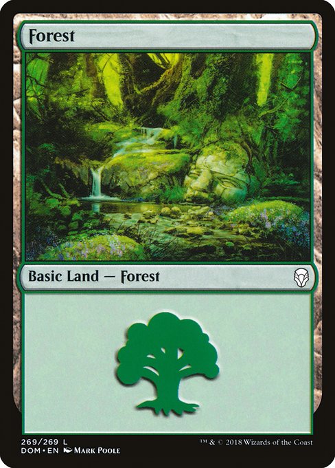 Forest (269) - Dominaria #269