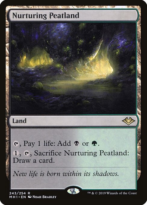 Nurturing Peatland - Modern Horizons #243