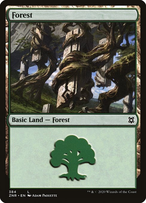 Forest - Zendikar Rising #384