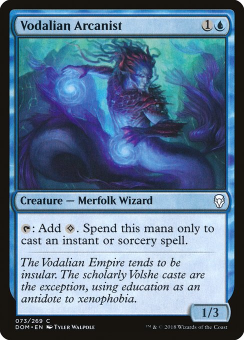 Vodalian Arcanist - Dominaria #73
