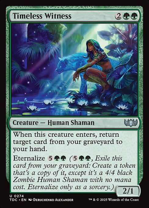 Timeless Witness - Tarkir: Dragonstorm Commander #274