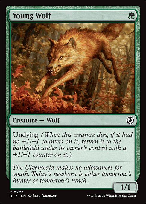 Young Wolf - Innistrad Remastered #227